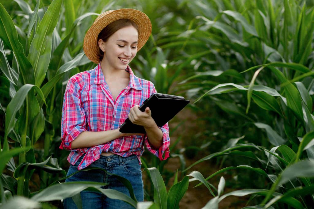 Jornal Ver 7 Uberaba recebe do Governo Federal conexao 5G para o campo