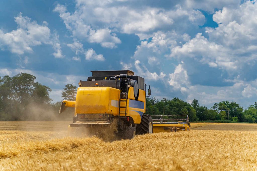 Jornal Ver 7 Valor da producao agropecuaria de 2021 esta estimado em R 1113 trilhao