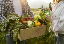 Jornal Ver 7 - AgroNordeste gera melhoria de renda para agricultoras do semiárido