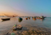 Jornal Ver 7 - Governo concede três terminais pesqueiros à iniciativa privada