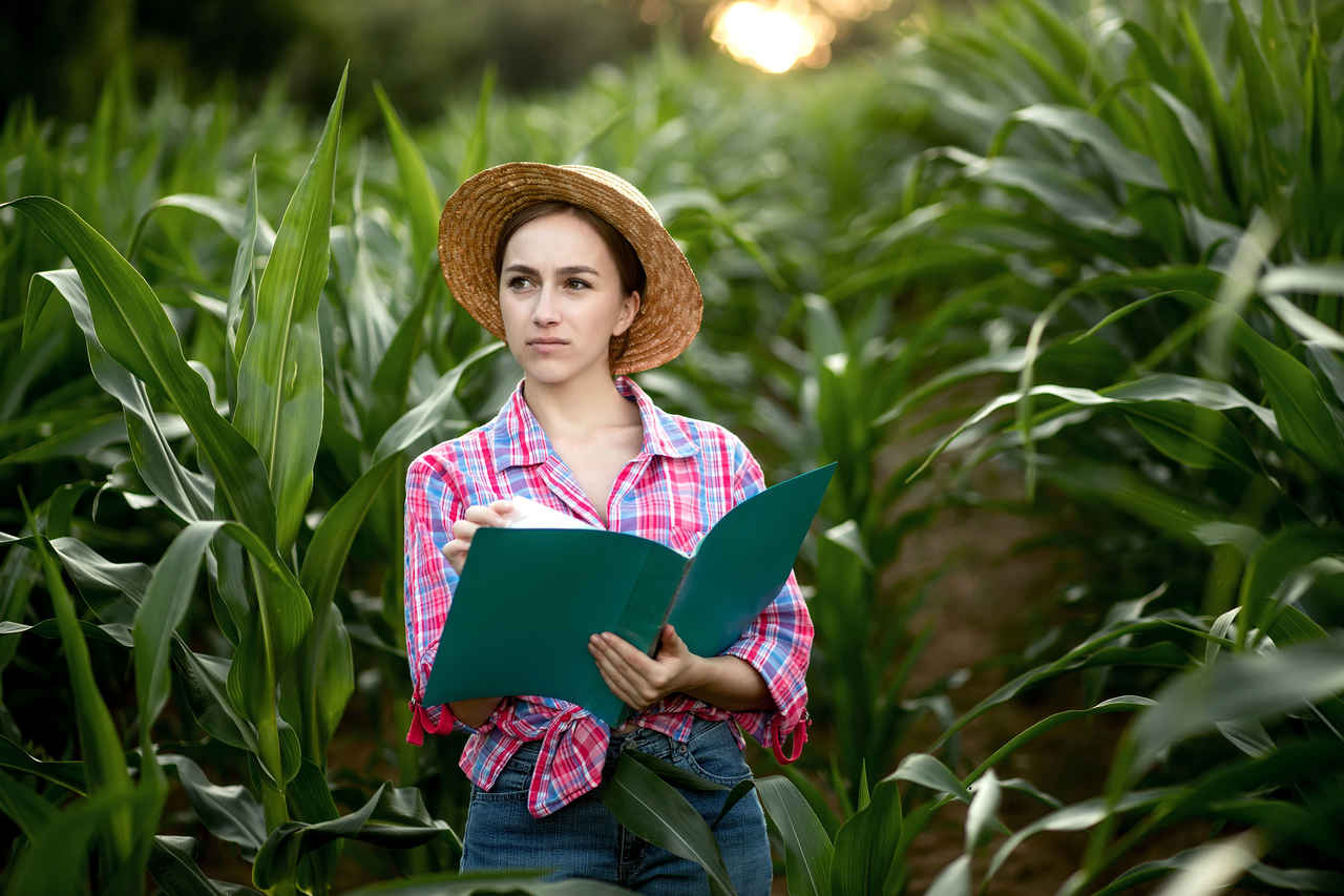 Jornal Ver 7 - Observatório Acadêmico facilita acesso a estudos e pesquisas sobre o seguro rural