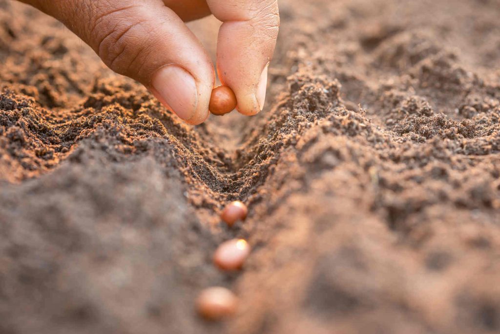 Jornal Ver 7 - Produtos da agropecuária brasileira chegam a mais de 200 novos mercados mundiais nos últimos três anos