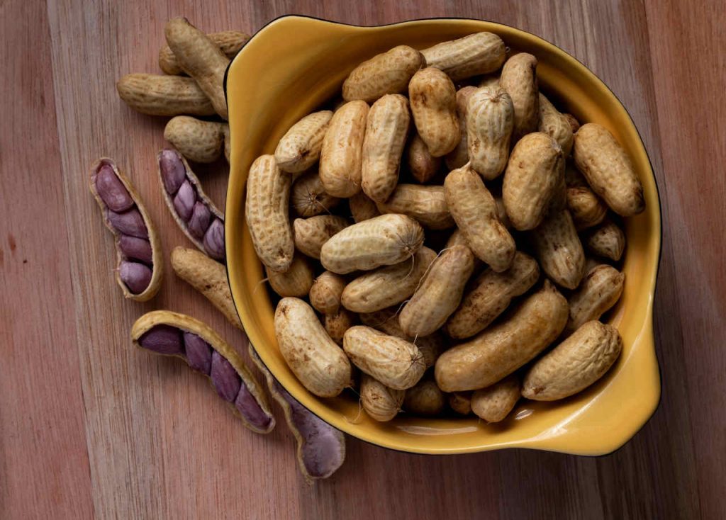 Agronegócio registra superávit de US$ 43,7 bilhões até abril