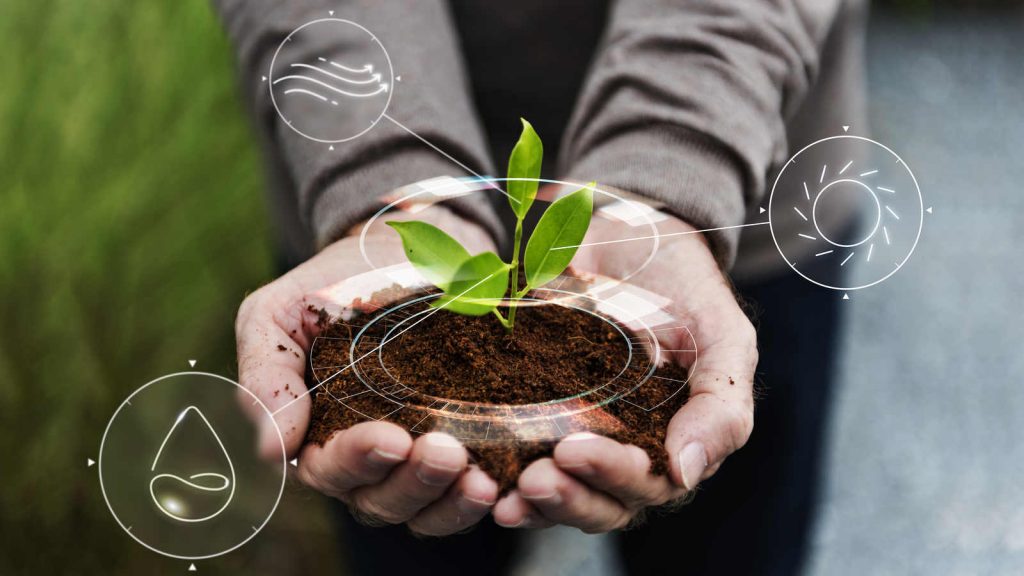 Jornal Ver7 - Brasil e Egito querem ampliar o comércio bilateral de produtos agropecuários
