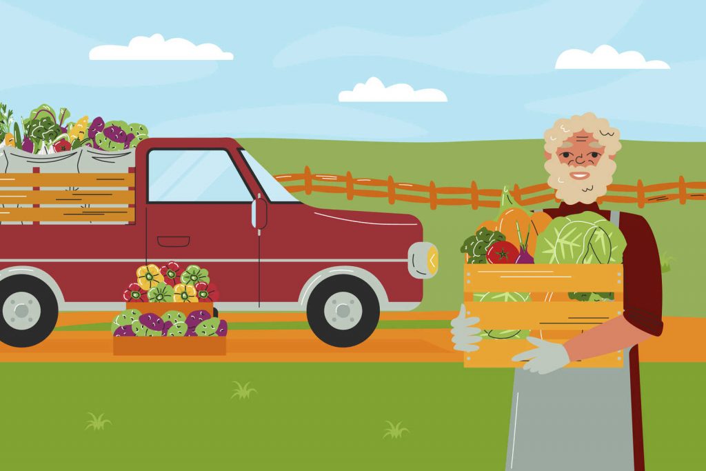 Jornal Ver7 - Publicado zoneamento agrícola de risco climático para o cultivo da mamona na safra 2022/2023