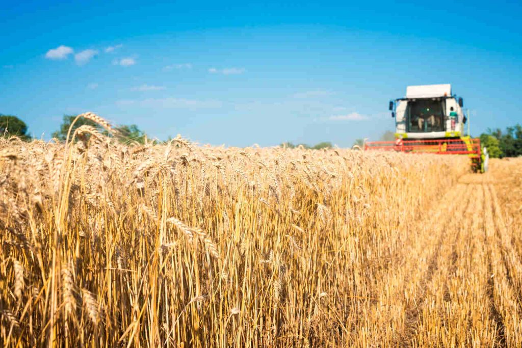 Jornal Ver7 - Desempenho do crédito rural alcança R$ 293,4 bi no fechamento da safra 202122