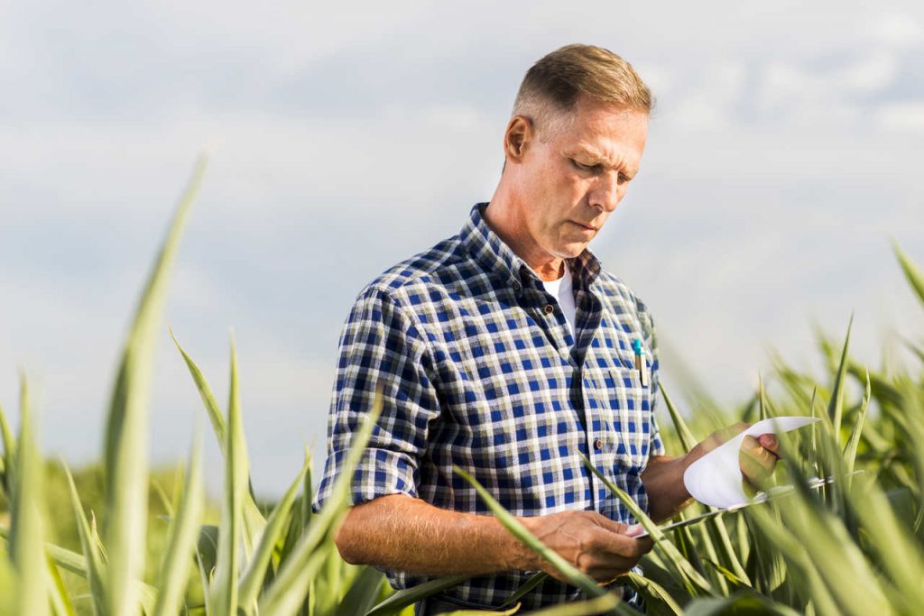 Jornal VER7 - Mapa apresenta a empresários ações para ampliar financiamento privado do agro