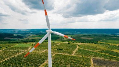 Jornal VER7 - Capacidade de geração de energia eólica deve bater recorde neste ano