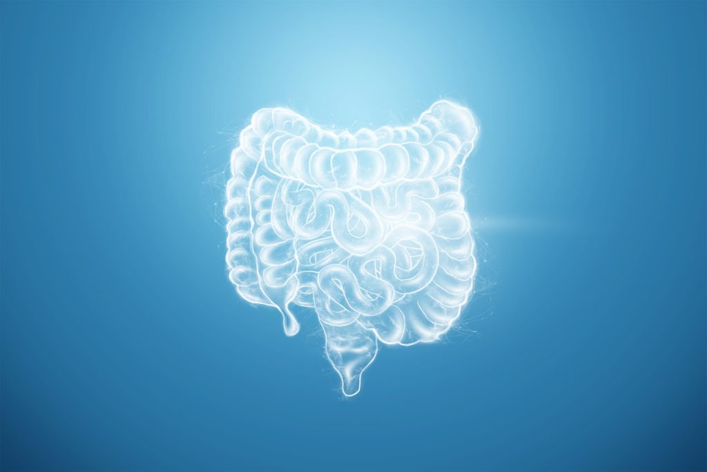 Nutrólogo Goiânia - Você conhece a relação do eixo intestino-cérebro