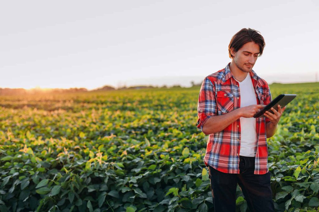 Jornal VER7 - Economia Agricultura familiar é 8ª maior produtora de alimentos do mundoEconomia Agricultura familiar é 8ª maior produtora de alimentos do mundo