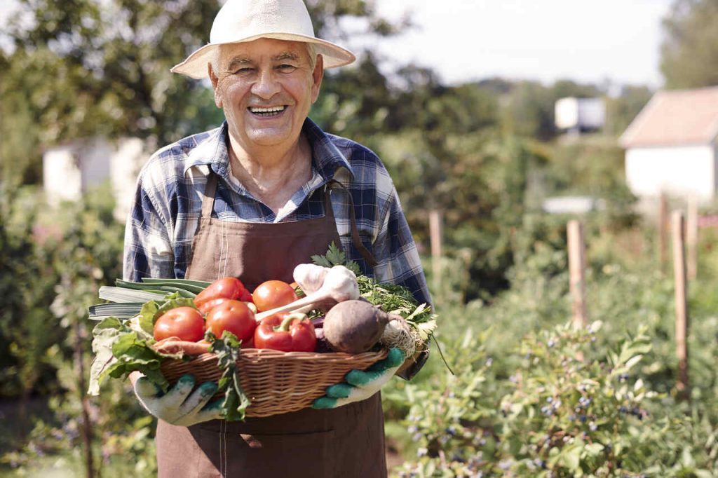 Jornal VER7 - Economia CMN facilita acesso de agricultor familiar a fundo de reforma agrária