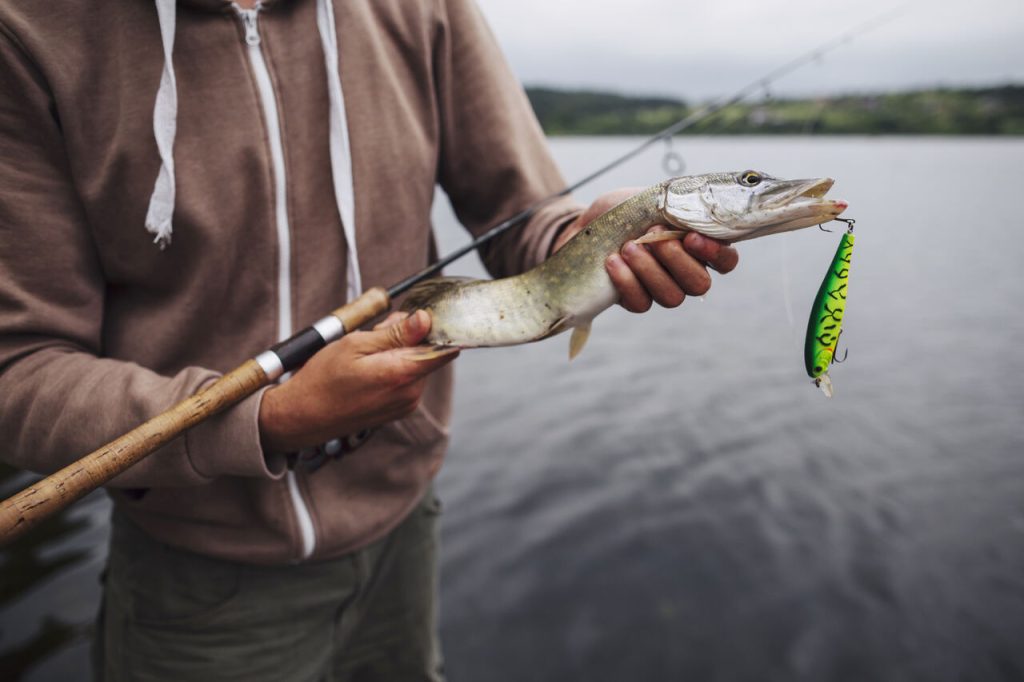 Jornal VER7 - Fiscalização contra a pesca ilegal no Araguaia chega à sexta semana