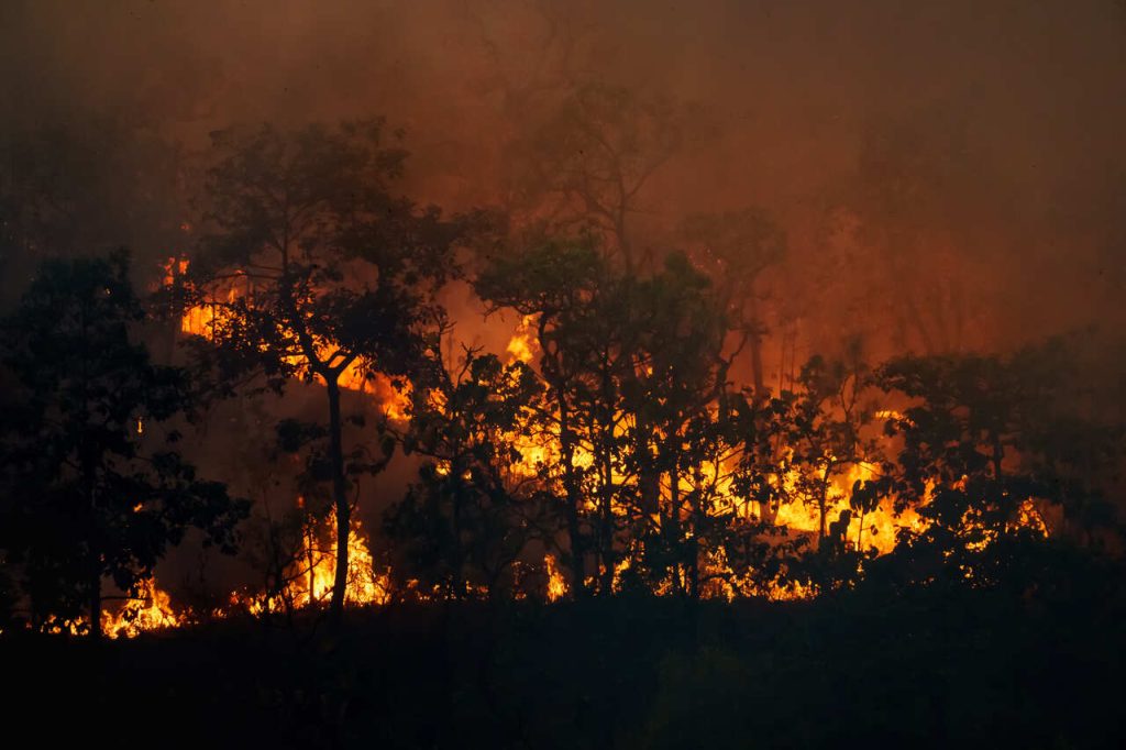 Jornal VER7 - País teve 2,15 milhões de hectares queimados no primeiro semestre