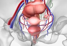 Urologia Aparecida de Goiânia - Sintomas e tratamentos da bexiga neurogênica