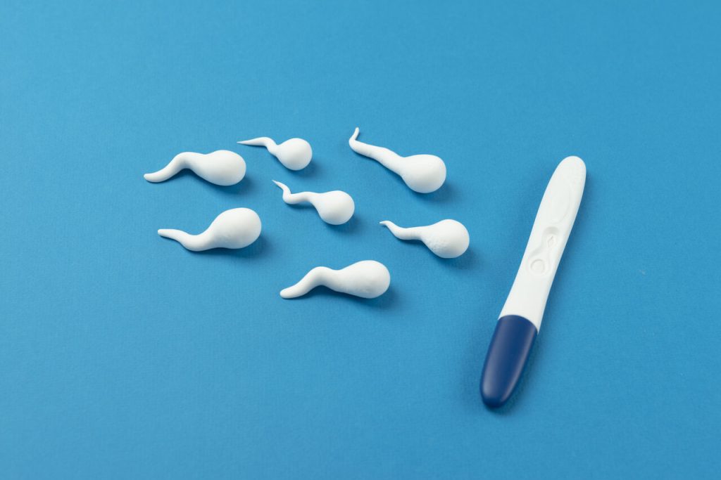 Urologia goiânia - Qual a relação entre cisto no epidídimo e infertilidade