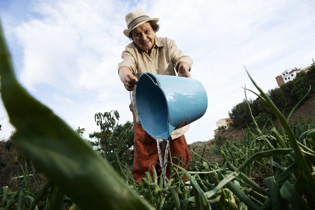 Jornal VER7 - Agrodefesa e CropLife realizam evento sobre controles fitossanitários