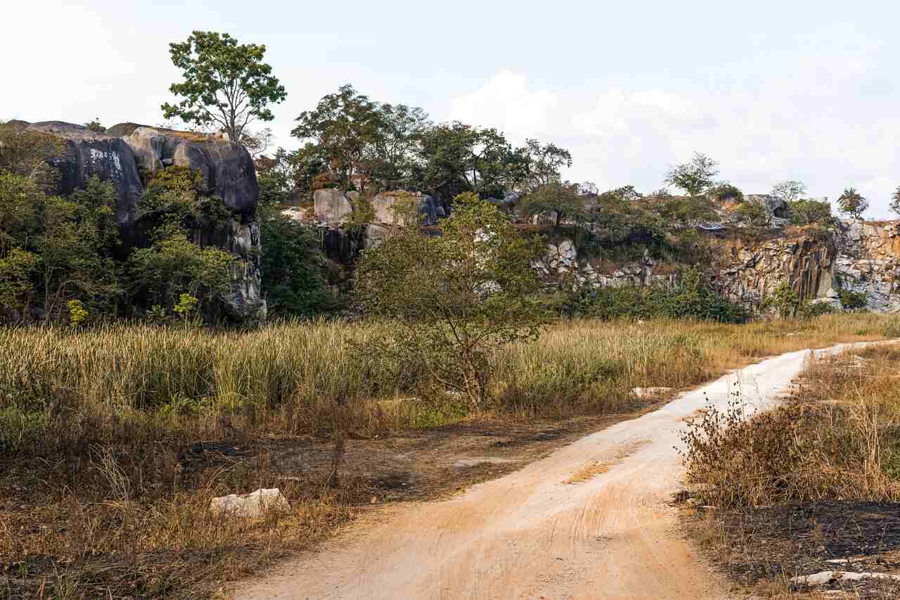 Jornal VER7 - Ambientalistas denunciam desmatamento às margens de rodovia amazônica
