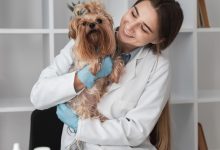 Jornal VER7 - Anápolis terá primeira UPA Veterinária do estado de Goiás