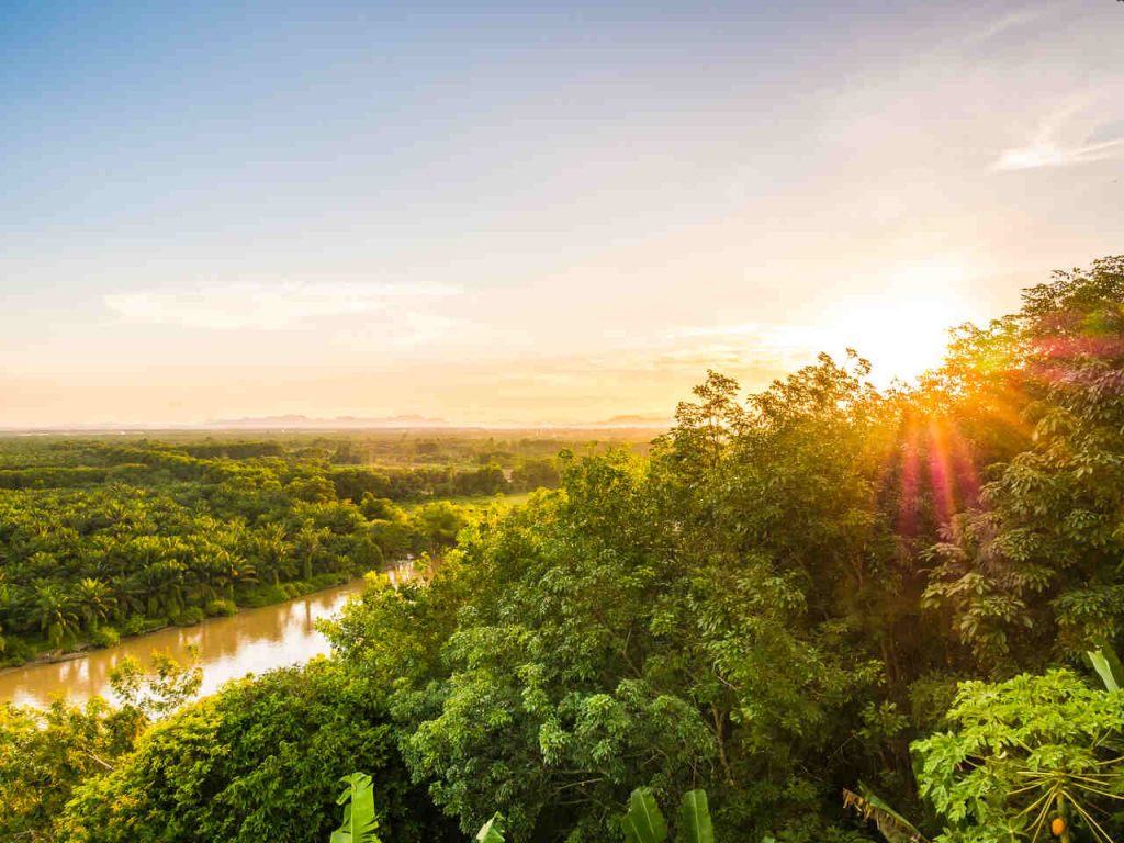 Jornal VER7 - Cúpula acordo deve evitar ponto de não retorno da Amazônia