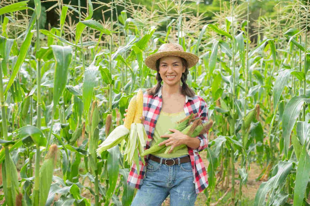 Embaixador da Nova Zelândia no Brasil discute parcerias comerciais e agricultura sustentável com o MAPA