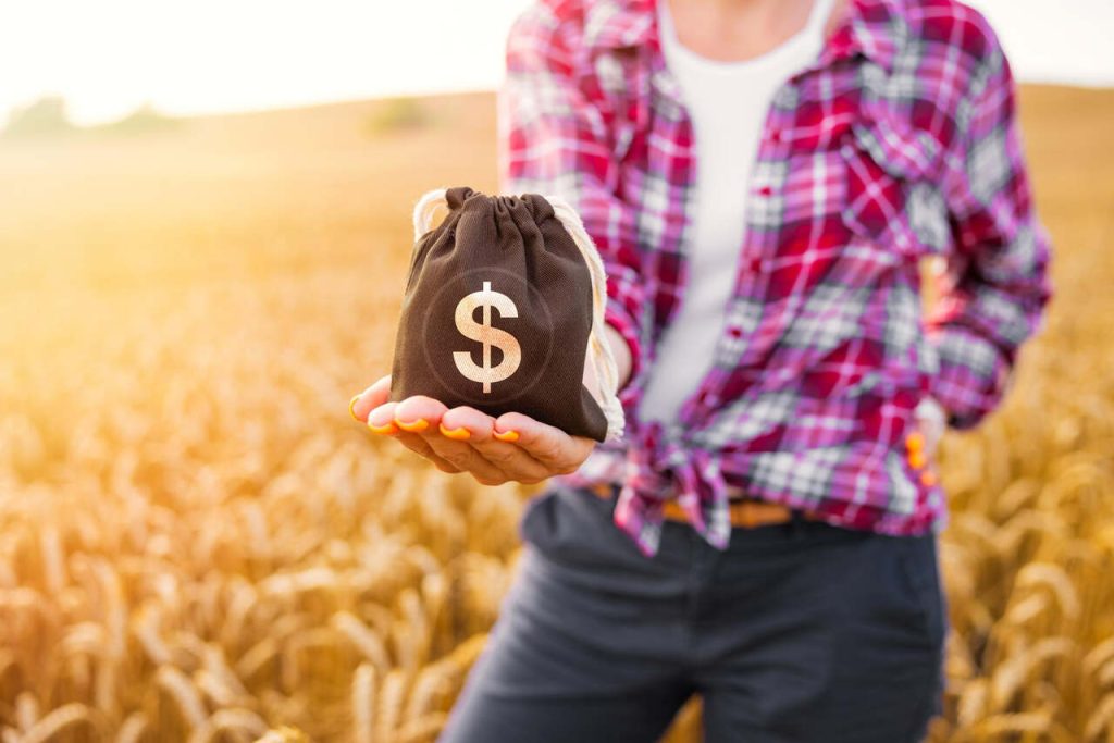 Produção Agropecuária Brasileira Atinge Novo Recorde de R$ 1.150 Trilhão em 2023