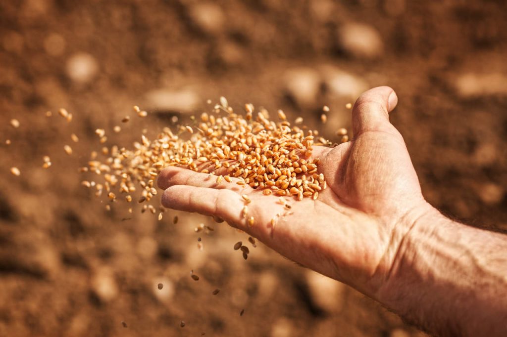 Crescimento histórico Crédito rural alcança a marca de R$ 186 bilhões em quatro meses, impulsionando a prosperidade do setor agrícola nacional