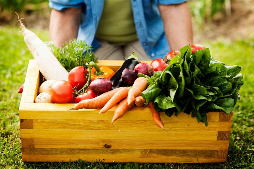 Workshop liderado pelo Mapa busca soluções para redução de perdas e desperdícios de alimentos