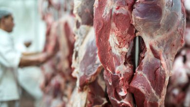 Expansão no comércio agropecuário Rússia autoriza mais plantas frigoríficas brasileiras para exportação de carnes
