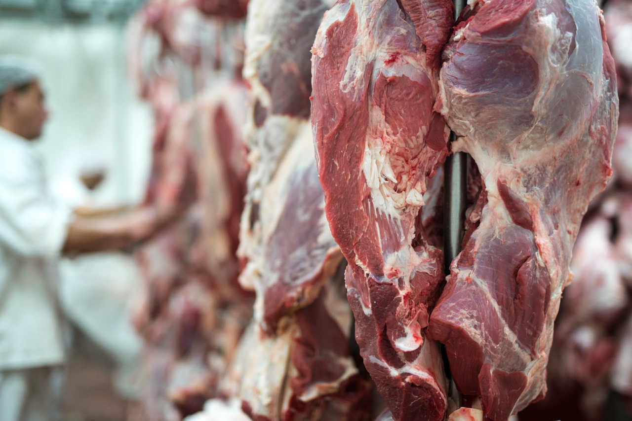 Expansão no comércio agropecuário Rússia autoriza mais plantas frigoríficas brasileiras para exportação de carnes