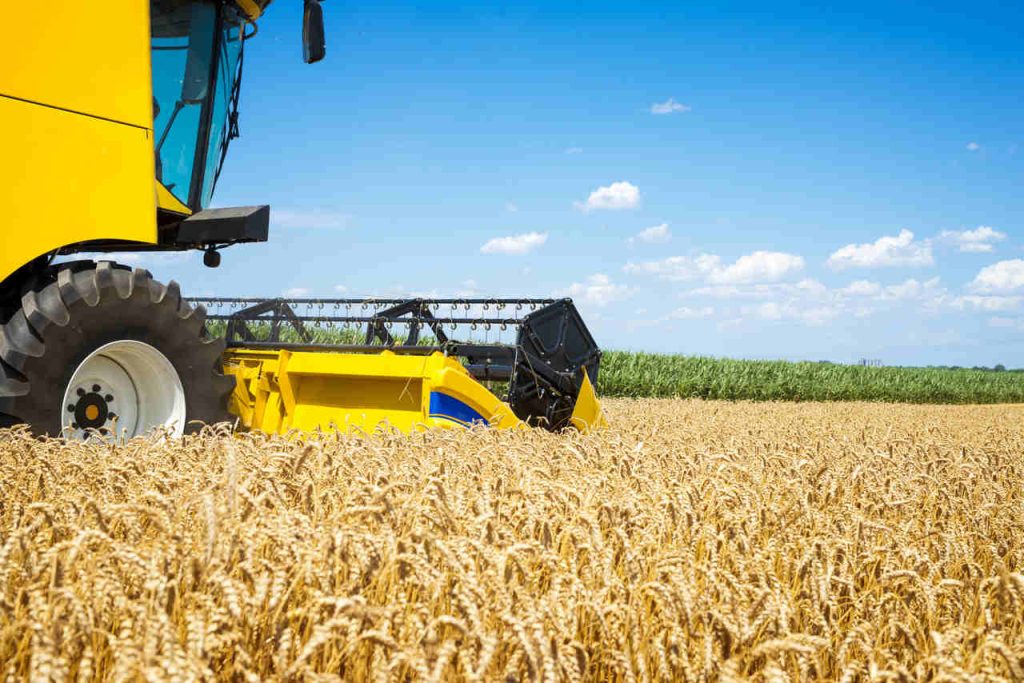Jornal VER7 - Brasil aumenta exportações para US$140 bilhões, impulsionando setor agrícola e internacionalização