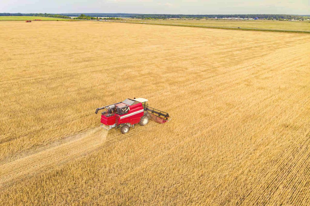 Lançamento do livro 'Plano ABC Uma década de inovação agrícola sustentável' na COP 28 em Dubai