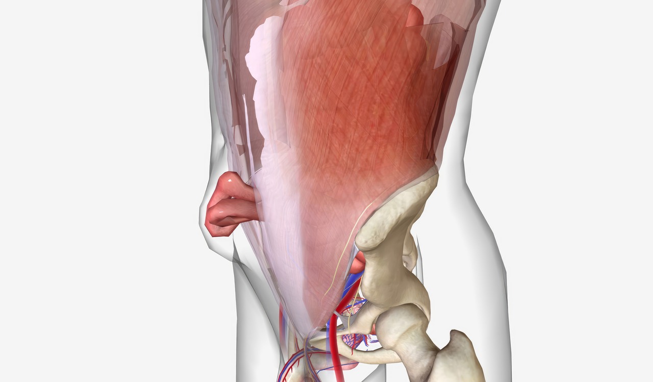 Urologia Aparecida de Goiânia - Hérnia inguinal: o urologista pode me avaliar?