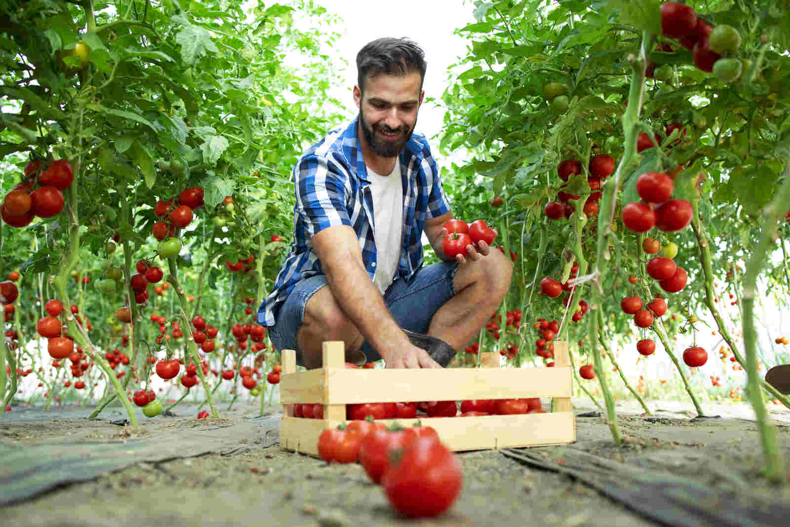 Emater leva Educação e Oportunidades ao Campo com a Inaugural Edição de 2024 do Agro é Social no Rio dos Bois