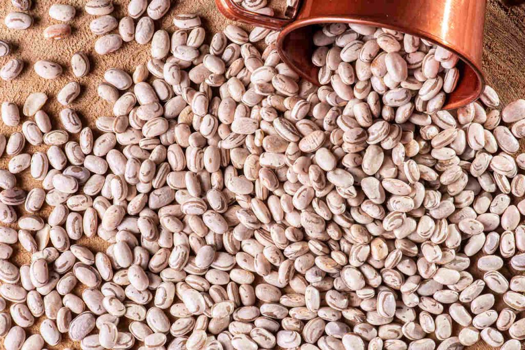 G20 Agricultura sustentável e cooperação internacional para a segurança alimentar