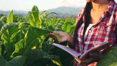 Jornal VER7 - Ministério da Agricultura e ASBRAM Unem Forças para Capacitar Profissionais Agropecuários com Tecnologias Sustentáveis