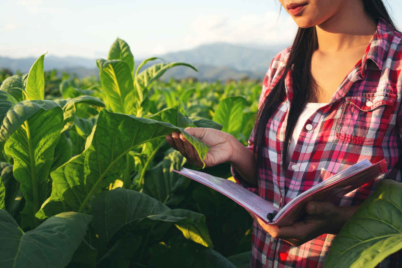 Jornal VER7 - Ministério da Agricultura e ASBRAM Unem Forças para Capacitar Profissionais Agropecuários com Tecnologias Sustentáveis