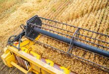 Ministério da Agricultura estende o calendário de semeadura da soja em sete estados para a safra 20232024