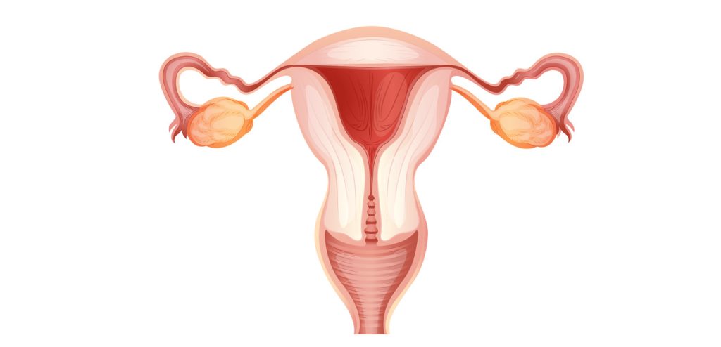 Laqueadura: o que é, vantagens, desvantagens e recuperação!