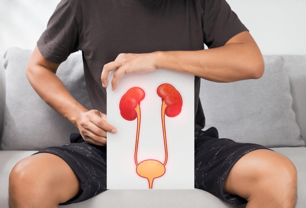 Urologia Goiânia - Você conhece as principais doenças do trato urinário?