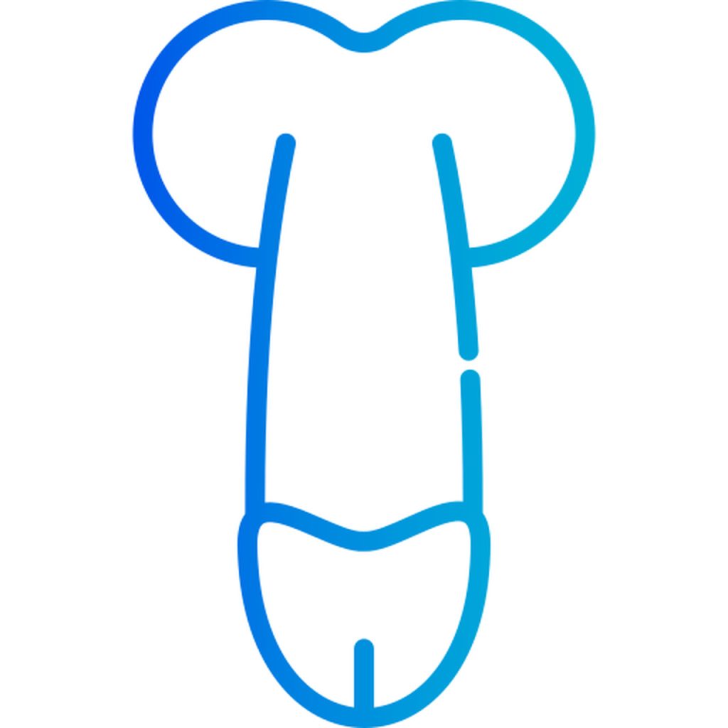Urologia Goiânia - Quando a prótese peniana é indicada?