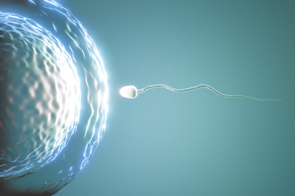 Urologia Goiânia - Varicocele: a doença silenciosa que pode causar infertilidade masculina
