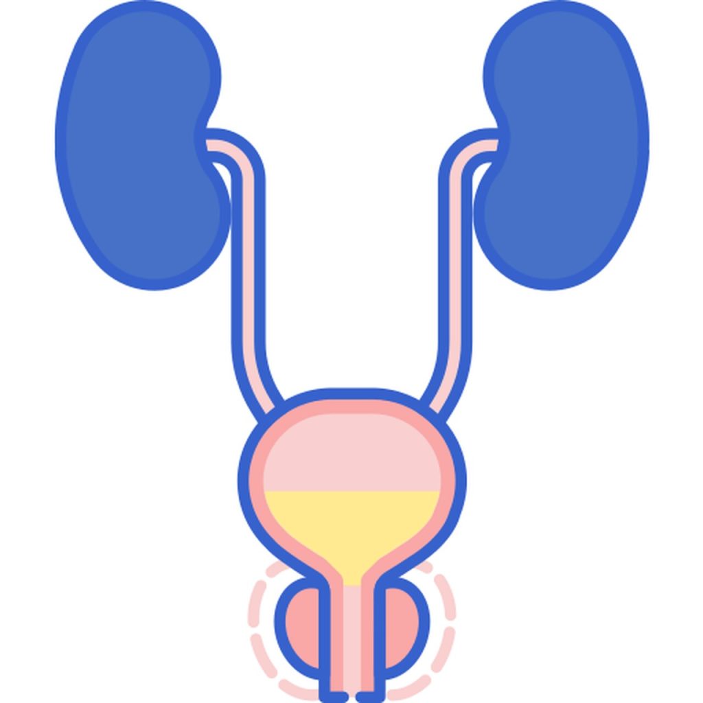 Urologia Goiânia - Entenda a diferença entre hiperplasia e câncer de próstata!