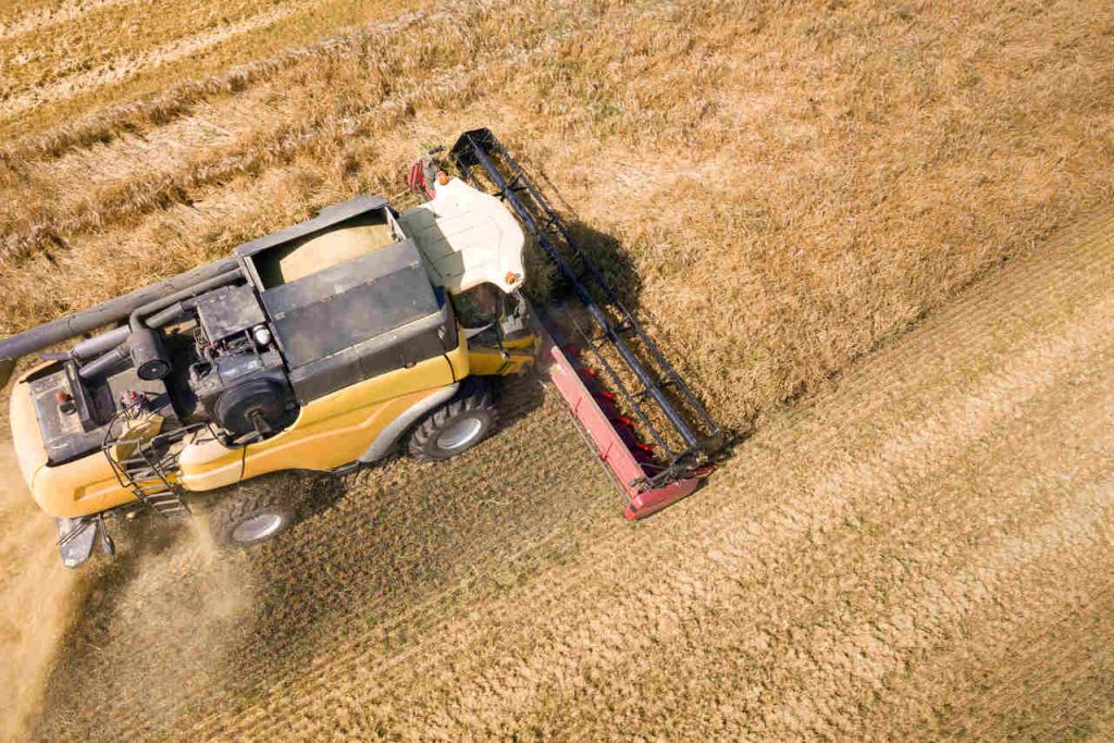 Crescimento de 14% Exportações de Goiás Atingem US$ 665 Milhões em Fevereiro