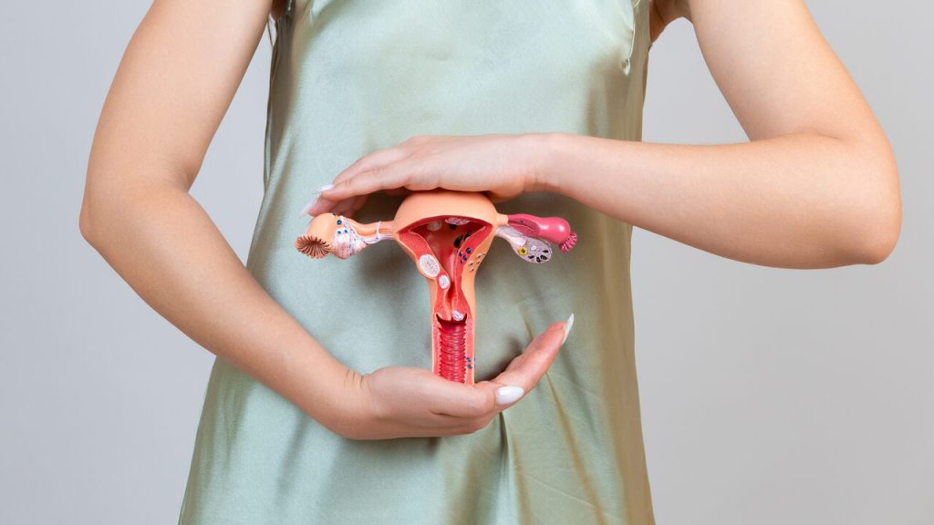 Hospital Aparecida de Goiânia - Tenho mioma uterino. E agora?