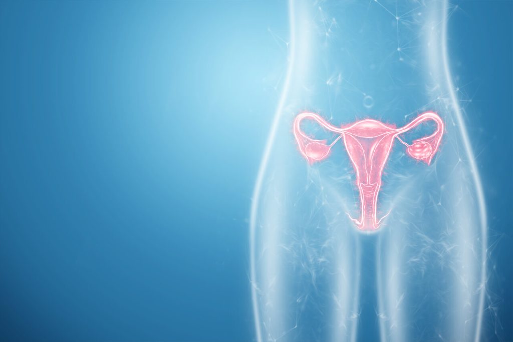 Histerectomia: o que é e quando é indicada?