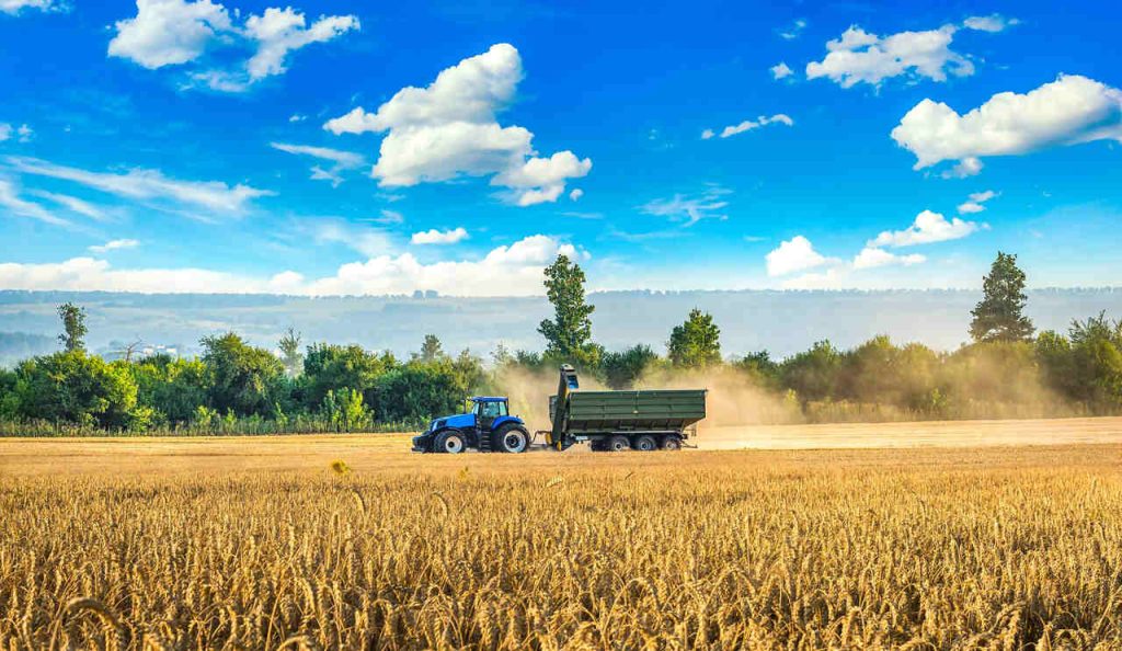 Subvenção econômica para agricultura e agroindústria no RS ganha novas regras