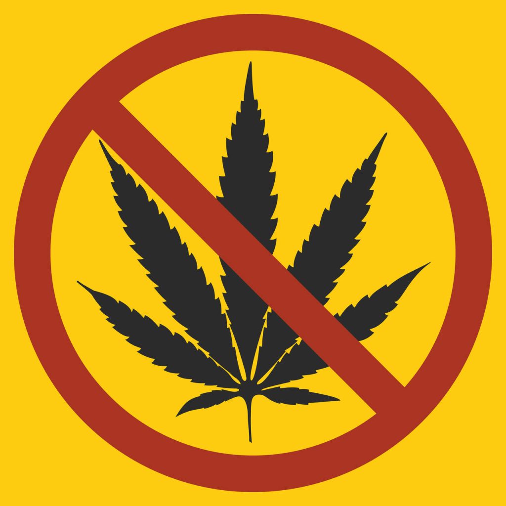 Descriminalização da maconha: os impactos do uso da maconha na saúde mental!