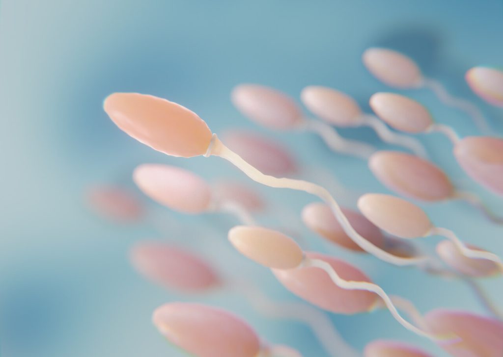 A vasectomia pode ser revertida?