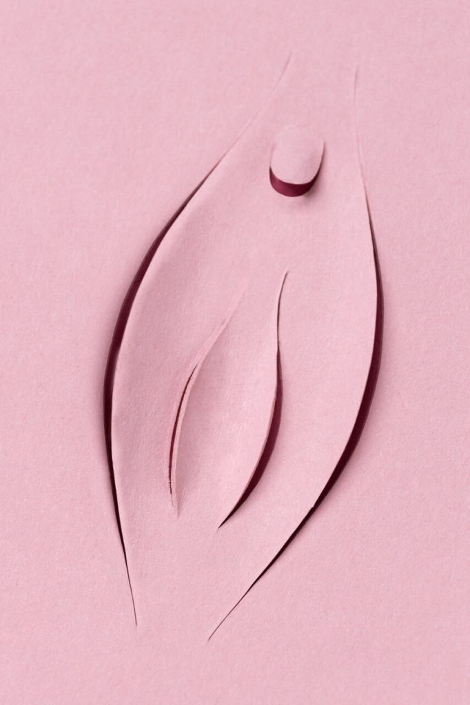 Ninfoplastia ajuda com a flacidez genital?