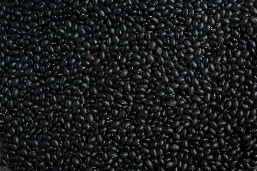 Abertura de Mercado Agropecuário na Costa Rica Oportunidade para o Feijão Brasileiro